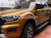 Cần bán gấp Ford Ranger Wildtrak 2.0L 4x4 AT năm 2019, xe nhập chính chủ