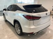 Bán ô tô Lexus RX 300 đời 2021, màu trắng, nhập khẩu