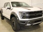 Bán ô tô Ford F 150 Raptor 3.5L năm sản xuất 2021