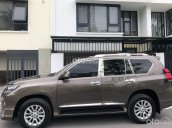 Cần bán xe Toyota Land Cruiser Prado sản xuất năm 2015, màu nâu, nhập khẩu nguyên chiếc