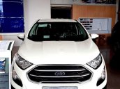 Cần bán Ford EcoSport đời 2021, màu trắng