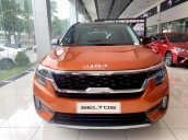 Kia Seltos mới T11/2021 - Sở hữu ngay chỉ với 210 triệu đồng