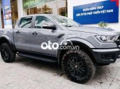 Cần bán lại xe Ford Ranger Raptor năm sản xuất 2019, nhập khẩu nguyên chiếc