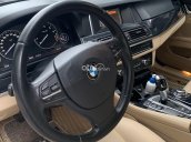 Xe BMW 5 Series 520i sản xuất 2015