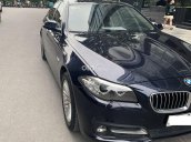 Xe BMW 5 Series 520i sản xuất 2015