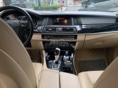 Xe BMW 5 Series 520i sản xuất 2015