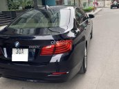 Xe BMW 5 Series 520i sản xuất 2015