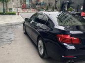 Xe BMW 5 Series 520i sản xuất 2015