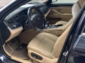 Xe BMW 5 Series 520i sản xuất 2015