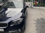 Xe BMW 5 Series 520i sản xuất 2015