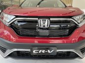 Honda CRV G giảm sâu tiền mặt + PK + BH kèm thuế trước bạ 50%