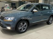 Tiguan Elegance 2021 nhiều màu giao ngay