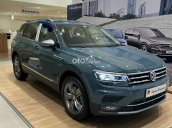 Tiguan Elegance 2021 nhiều màu giao ngay