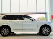 Volvo XC90 - Sẵn giao ngay nhiều màu