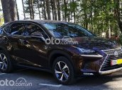 Bán Lexus NX 300 sản xuất 2020, màu nâu, nhập khẩu còn mới