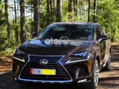 Bán Lexus NX 300 sản xuất 2020, màu nâu, nhập khẩu còn mới