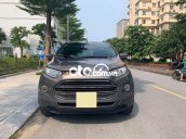 Cần bán gấp Ford EcoSport AT Titanium năm sản xuất 2017, màu xám chính chủ