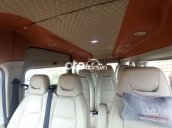 Cần bán xe Ford Transit Luxury đời 2019, màu trắng chính chủ 