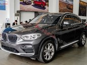 Bán xe BMW X4 đời 2019, màu xám, nhập khẩu nguyên chiếc