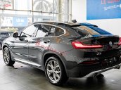 Bán xe BMW X4 đời 2019, màu xám, nhập khẩu nguyên chiếc