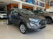 Bán ô tô Ford EcoSport 1.5L AT Titanium đời 2021, màu xám