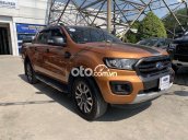 Cần bán lại xe Ford Ranger sản xuất năm 2019, nhập khẩu