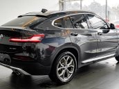 Bán ô tô BMW X4 Xdrive 20i năm sản xuất 2019, màu xám, nhập khẩu