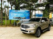 Bán xe Ford Everest năm 2019, màu vàng