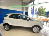 Giá tốt cùng ưu đãi lên đến 60 triệu + giảm 50% phí trước bạ Ecosport đang bán cực kì chạy thời điểm hiện tại