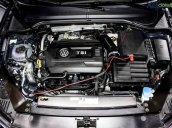 Nhận ngay xe Passat BlueMotion chỉ với 250 triệu