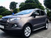 Bán Ford EcoSport Titanium 1.5L AT đời 2016, màu xám  