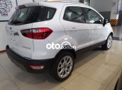 Bán ô tô Ford EcoSport sản xuất 2021, màu trắng, giá tốt