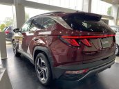 Bán ô tô Hyundai Tucson 2.0 Bản Đặc Biệt sản xuất năm 2022, màu đỏ