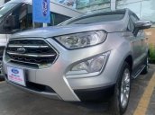 Xe Ford EcoSport 1.5L Titanium năm 2019, màu bạc