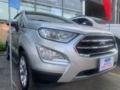 Xe Ford EcoSport 1.5L Titanium năm 2019, màu bạc