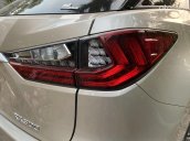 Cần bán lại xe Lexus RX 300 năm sản xuất 2019