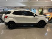 Saigon Ford cần bán Ford Ecosport Titanium 1.5L AT 2018, 33.000 km bao test