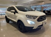 Saigon Ford cần bán Ford Ecosport Titanium 1.5L AT 2018, 33.000 km bao test