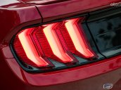 Bán ô tô Ford Mustang EcoBoost 2.3l model 2022, mới 100%