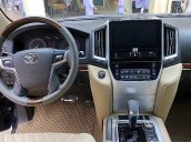 Cần bán gấp Toyota Land Cruiser 4.5 năm 2010, màu đen, nhập khẩu còn mới