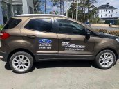 Bán ô tô Ford EcoSport Titanium 1.5L AT năm 2020, màu nâu số tự động