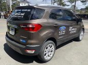 Bán ô tô Ford EcoSport Titanium 1.5L AT năm 2020, màu nâu số tự động