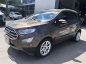 Bán ô tô Ford EcoSport Titanium 1.5L AT năm 2020, màu nâu số tự động