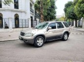 Cần bán Ford Escape sản xuất năm 2007, màu vàng cát