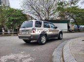 Cần bán Ford Escape sản xuất năm 2007, màu vàng cát