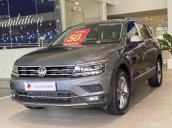 Giá xe Tiguan Elegance 2022  màu xám Platium độc lạ - Giá tốt nhất miền Nam