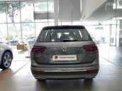 Giá xe Tiguan Elegance 2022  màu xám Platium độc lạ - Giá tốt nhất miền Nam