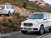 Bán xe mercedes G63 AMG sản xuất 2021 nhập hãng xe giao sớm, màu trắng, bạc, xanh, đen, xanh, đỏ