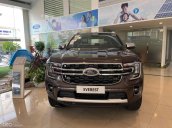 Chạy doanh số cuối năm, thời điểm vàng để mua xe Ford. Giá tốt nhất từ trước tới nay