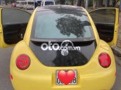 Volkswagen beetle 99